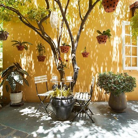 Green Garden Homestay Hoi An Bagian luar foto